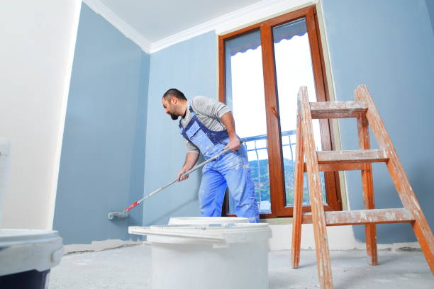 Best Mold Odor Removal Services  in Tonkawa, OK