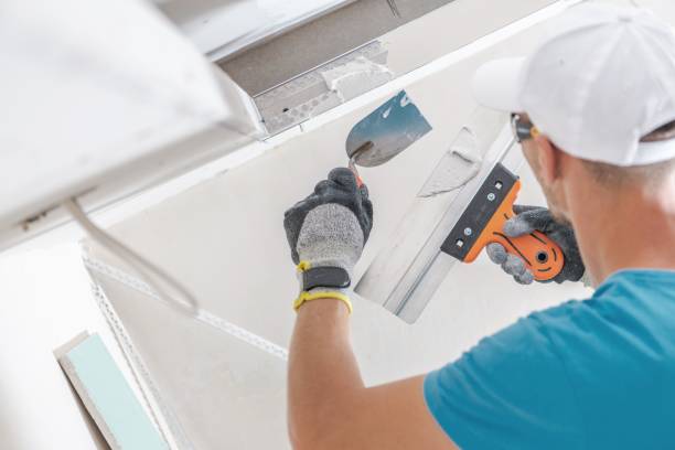 Best Mold Damage Restoration  in Tonkawa, OK